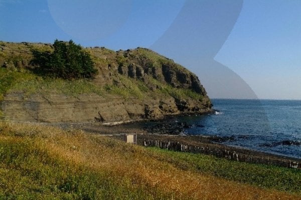 龙头海岸