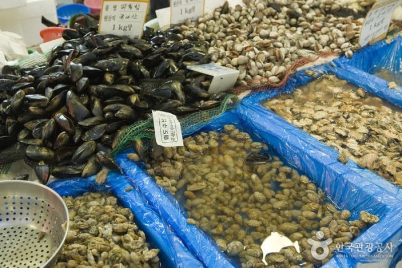 西归浦每日Olle市场  (4/9)