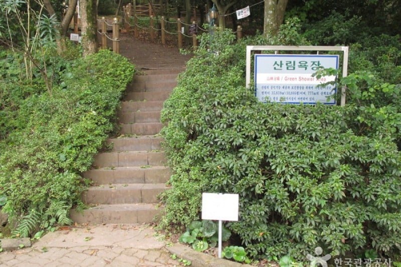 汉拿树木园