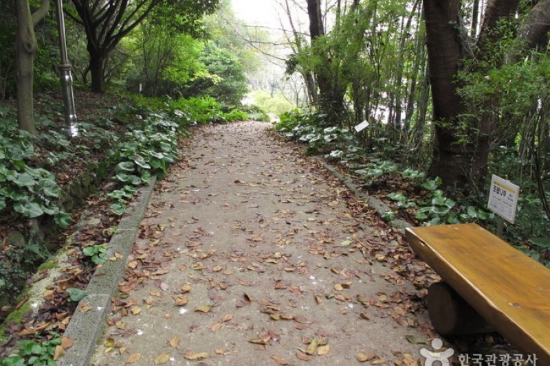 汉拿树木园