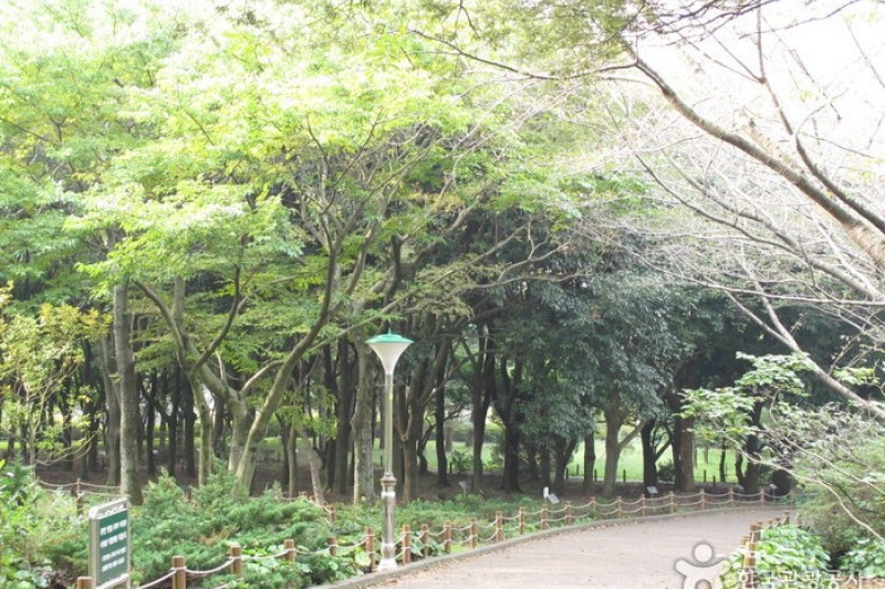 汉拿树木园