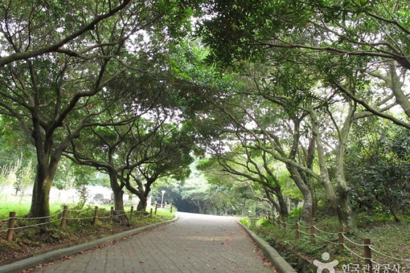 汉拿树木园