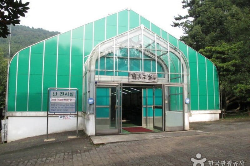 汉拿树木园