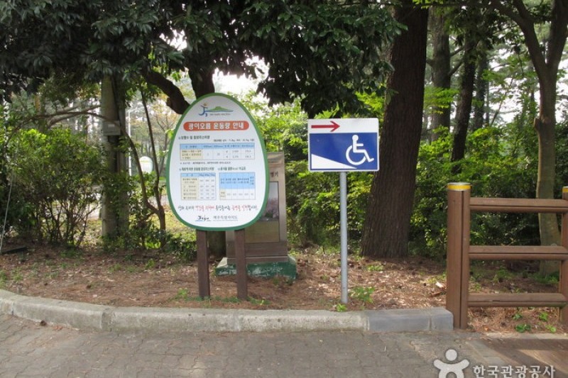 汉拿树木园