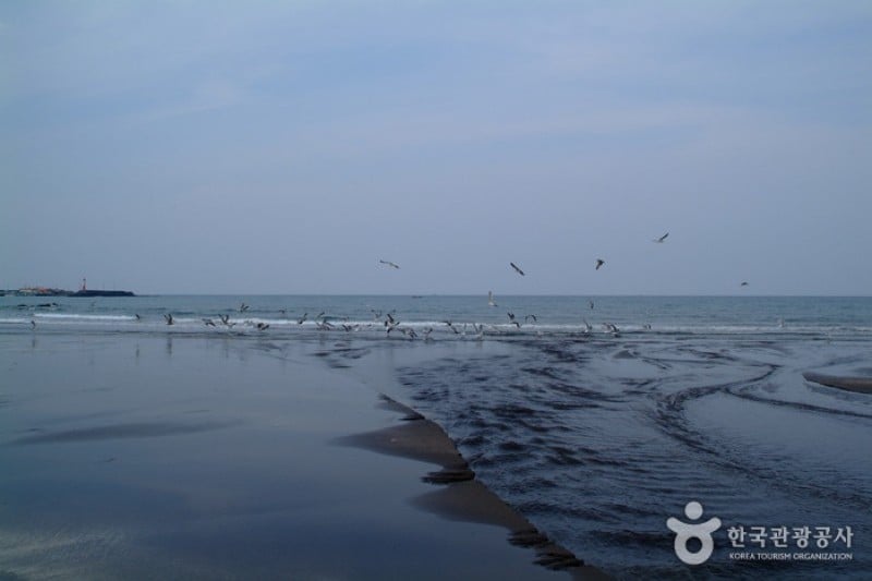 三阳黑沙滩海边 (1/17)