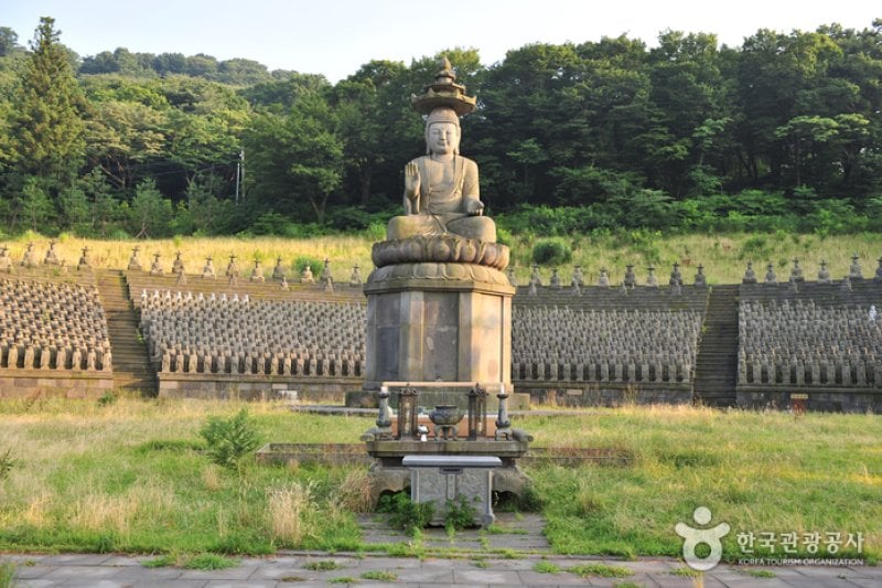 观音寺 (6/15)