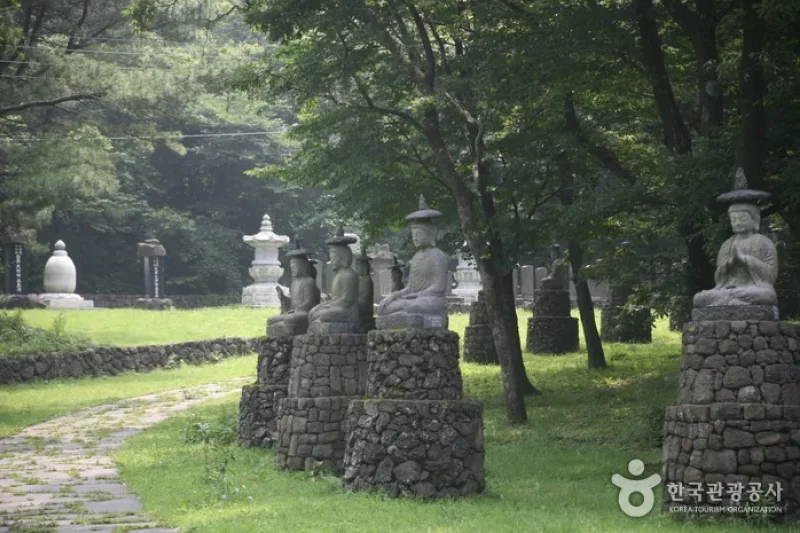观音寺 (9/15)