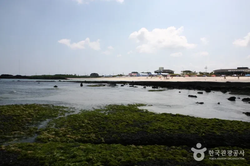 金宁海水浴场<br />김녕성세기해변 (김녕해수욕장) (11/20)