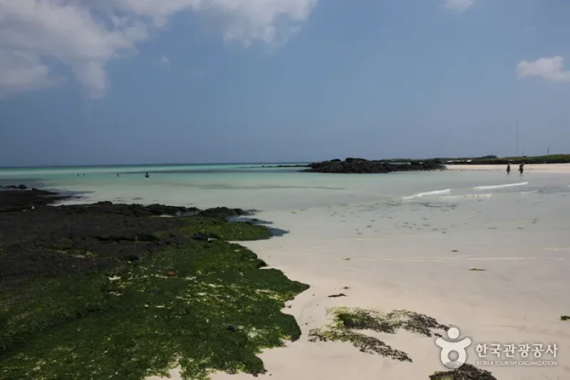 金宁海水浴场<br />김녕성세기해변 (김녕해수욕장) (13/20)