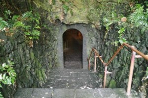 双龙窟(Hallim Park) 