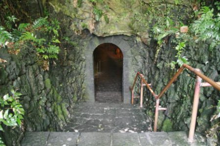 双龙窟(Hallim Park) 