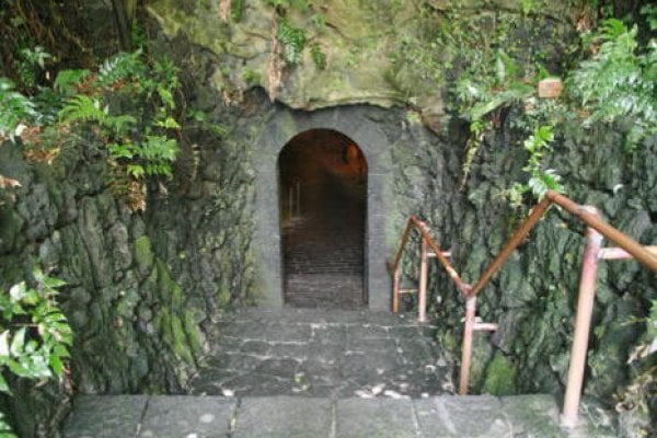 双龙窟(Hallim Park)