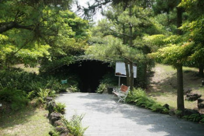 双龙窟(Hallim Park) 