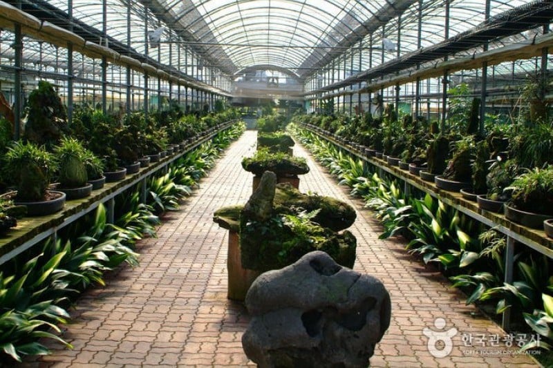 盆景主题公园