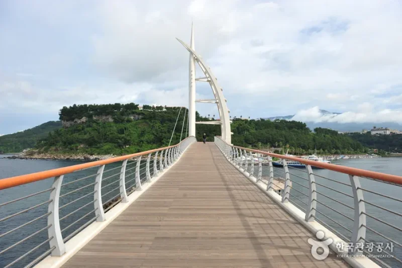 鸟岛新缘桥
