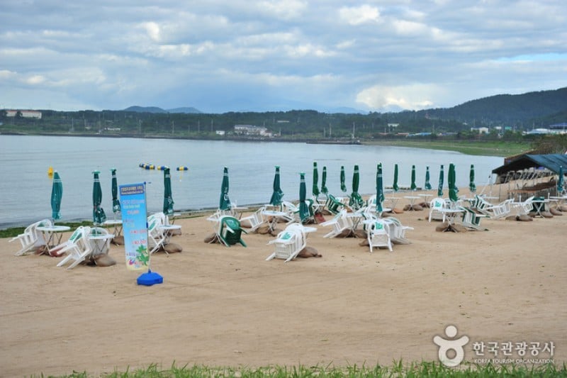 新阳涉地可支浴场