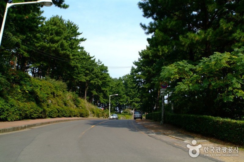 纱罗峰公园 (1/6)