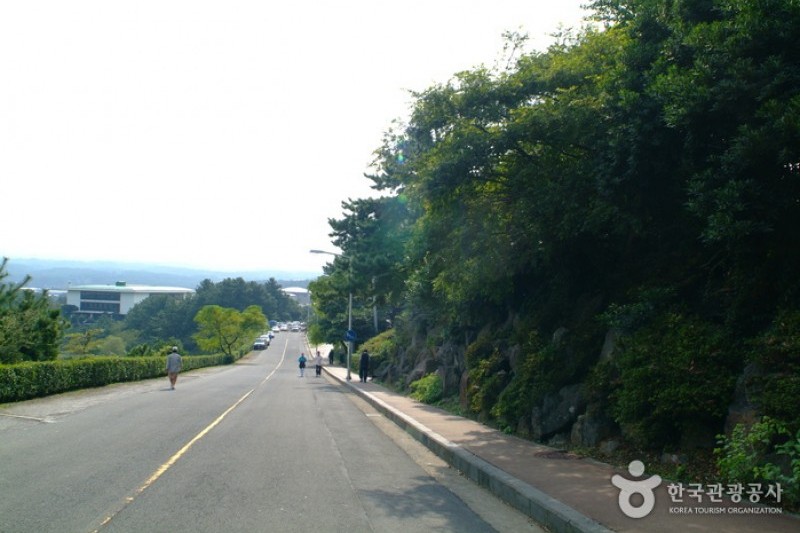 纱罗峰公园 (2/6)