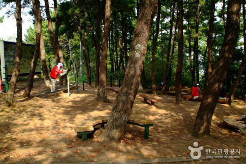 纱罗峰公园 (3/6)