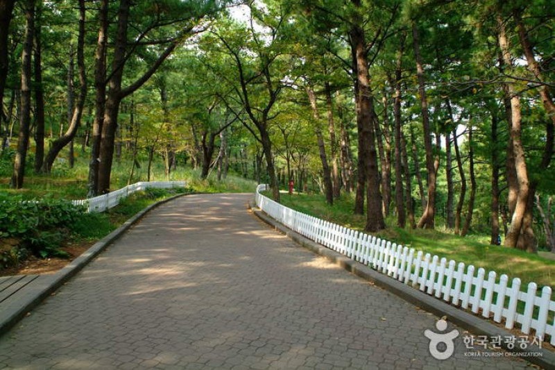 纱罗峰公园 (5/6)