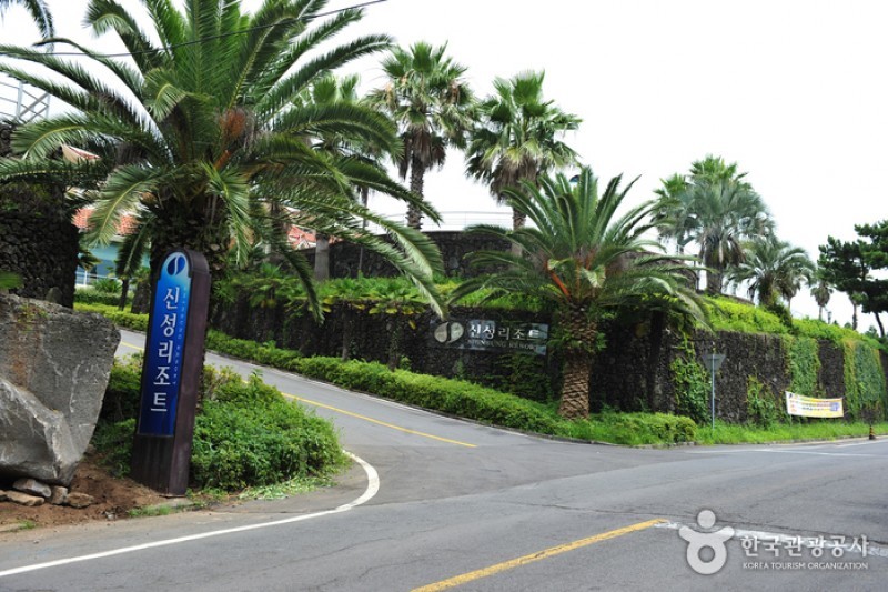 新星度假村 (3/4)