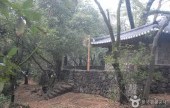 [济州偶来小路第15条路线] 翰林-高内偶来 [제주올레 15코스] 한림-고내 올레