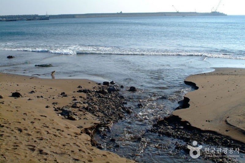 和顺金沙滩海岸화순 금모래 해변