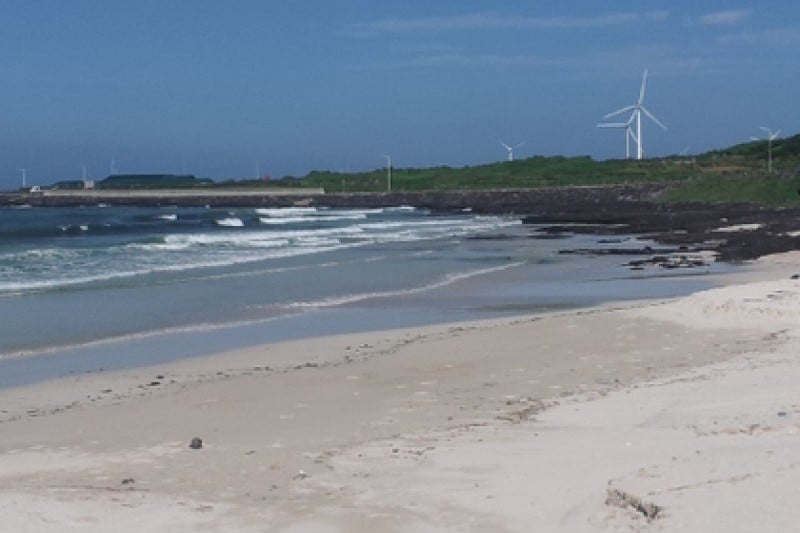 月汀里海边(月汀里海水浴场)