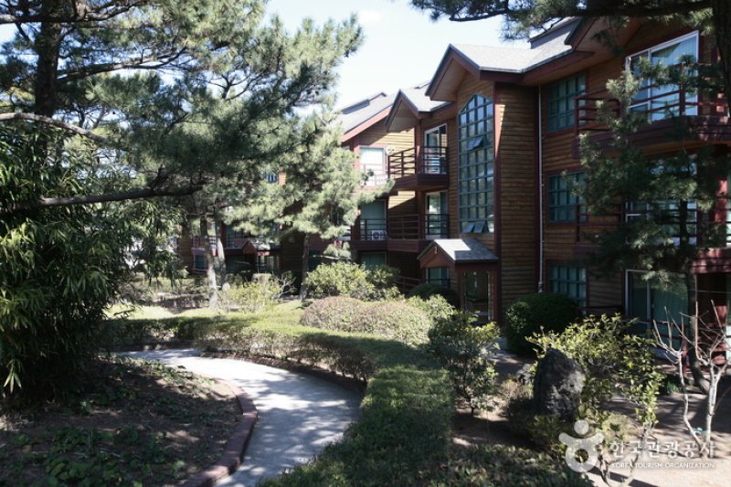济州金刚山公寓(제주 금강산 콘도미니엄) (2/11)