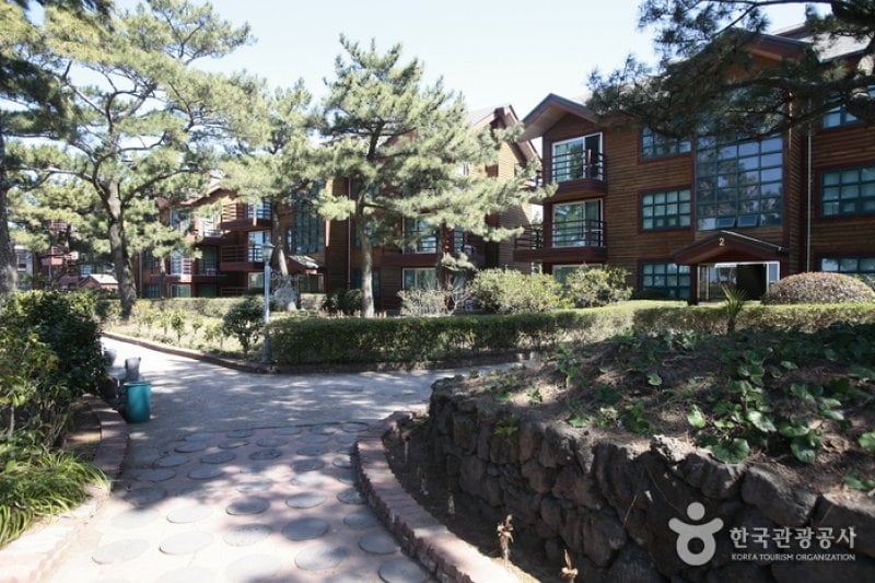 济州金刚山公寓(제주 금강산 콘도미니엄) (3/11)