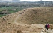龙眼岳