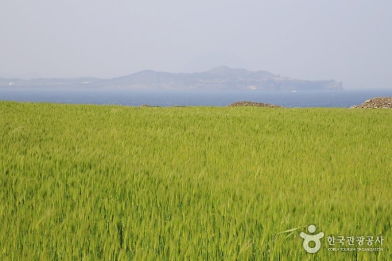 松岳山 (6/6)
