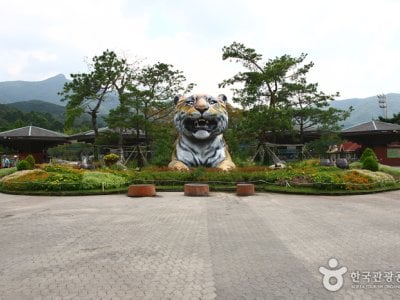 首尔大公园<br />서울대공원