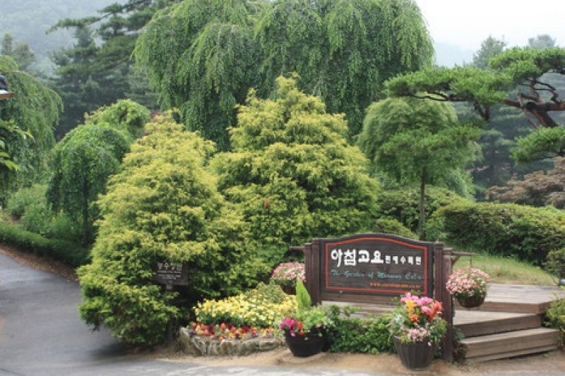 晨静树木园