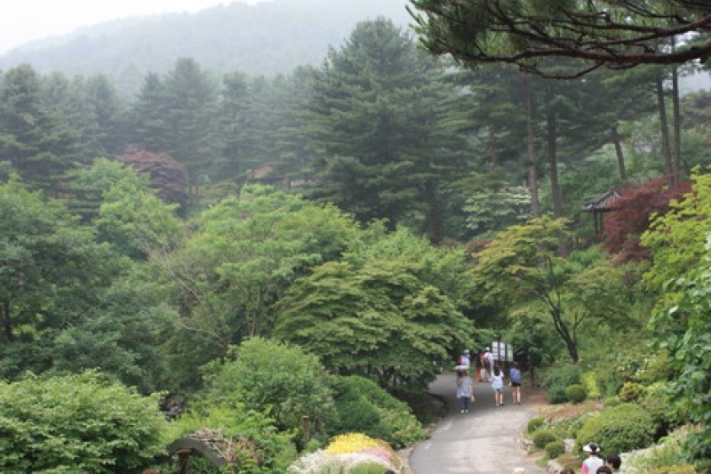 晨静树木园