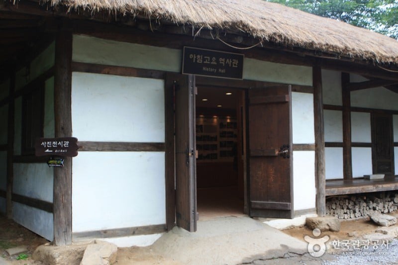 晨静树木园