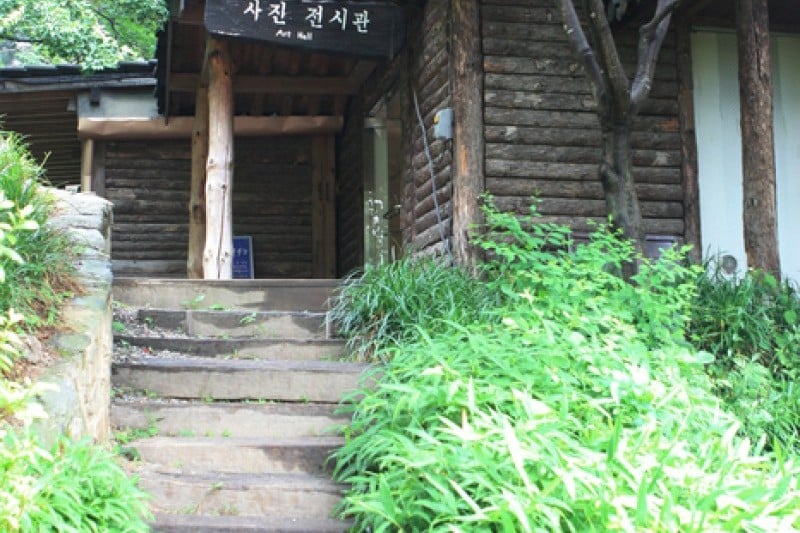 晨静树木园