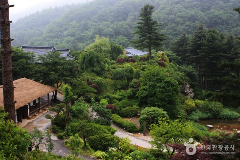 晨静树木园