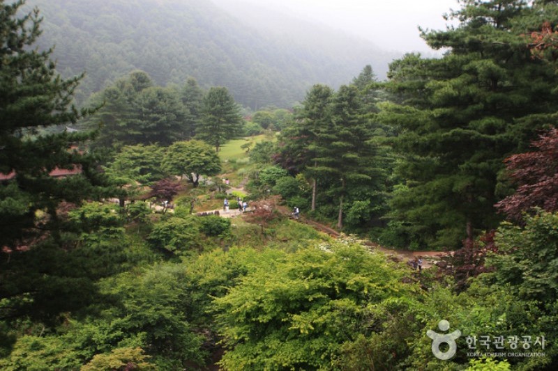 晨静树木园