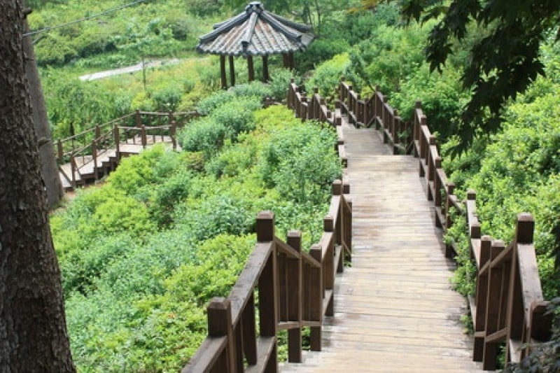 晨静树木园