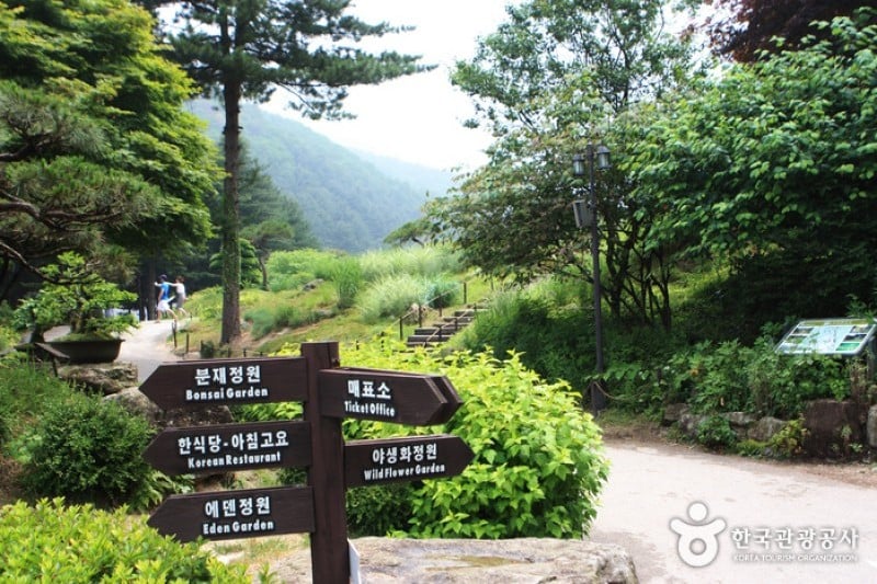 晨静树木园