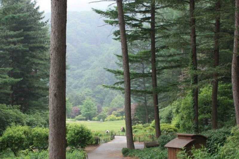 晨静树木园