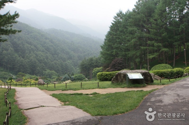 晨静树木园