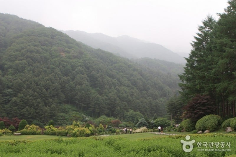 晨静树木园