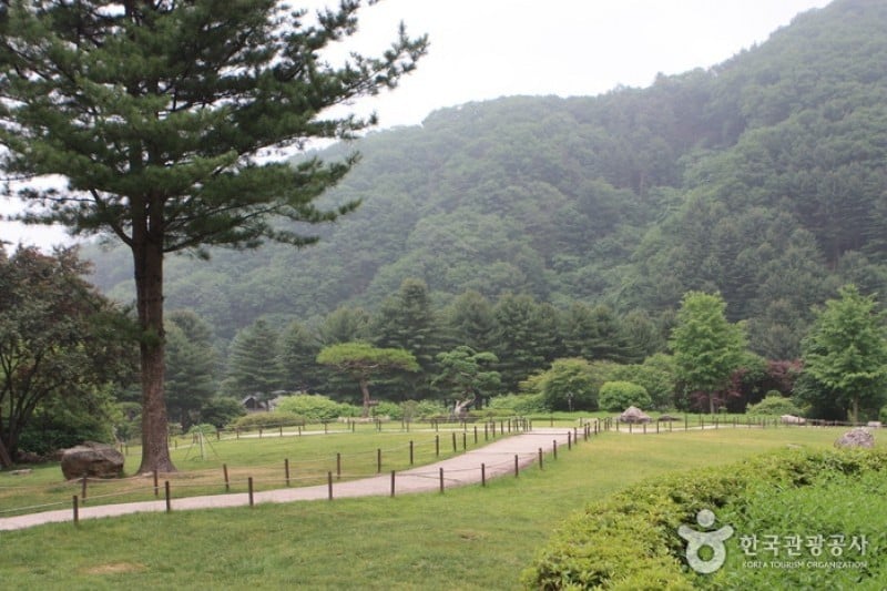 晨静树木园