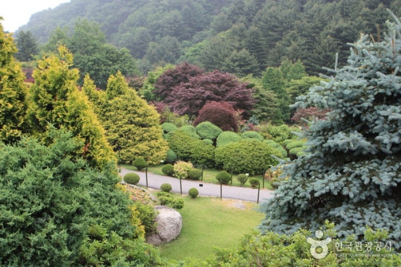 晨静树木园