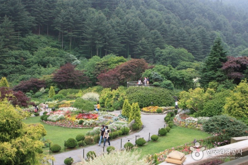 晨静树木园