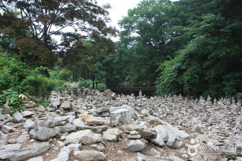 晨静树木园