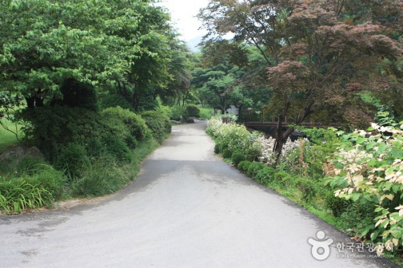 晨静树木园