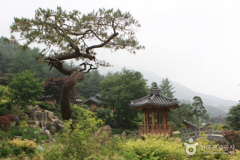 晨静树木园